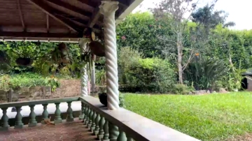 Spy_W50  26-07-2021 video sexybody